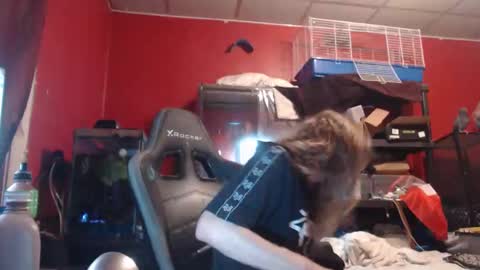 Snapshot of ustogetherliveee chatting on 11.12.25 ustogetherliveee online show from 11.12.25