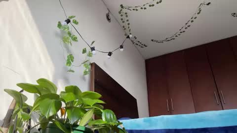 Snapshot of valent1nn chatting on 03.11.25 Valentin independent Cam Boy online show from 03.11.25