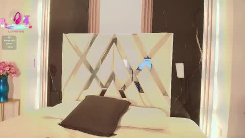 Snapshot of valery_wang chatting on 03.02.25 Val online show from 03.02.25