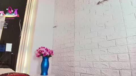 Snapshot of valery_wang chatting on 03.12.25 Val online show from 03.12.25