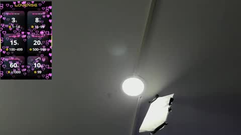 V A N E  online show from 09.21.25