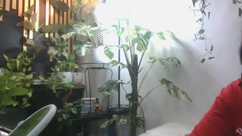 vanessa__foxx online show from 12.05.24