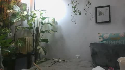 vanessa__foxx online show from 12.16.24