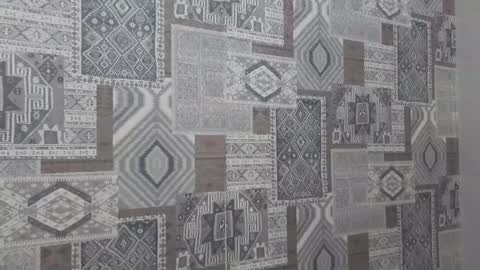 Snapshot of vanillaecho chatting on 10.18.25 Megan online show from 10.18.25