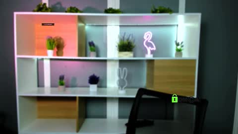 Snapshot of veldi_to chatting on 02.02.26 veldi_to online show from 02.02.26