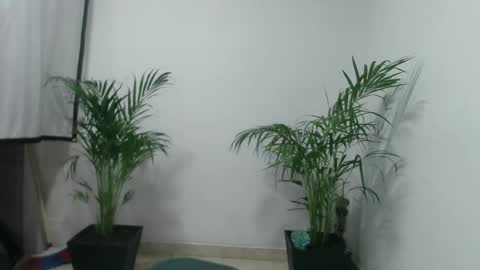 vennus6969 online show from 03.05.25