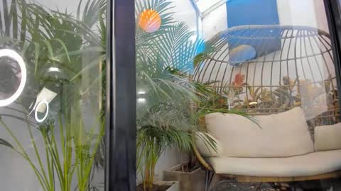 Snapshot of venus_flame chatting on 11.20.25 VENUS online show from 11.20.25