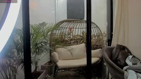 Snapshot of venus_flame chatting on 01.11.26 VENUS online show from 01.11.26