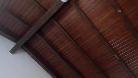 Snapshot of venusevans1 chatting on 02.04.25 Venus Evans online show from 02.04.25