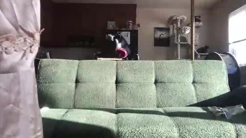 Snapshot of venustheflytrap chatting on 05.21.26 venustheflytrap online show from 05.21.26