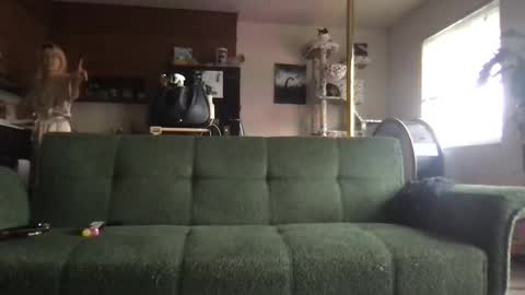 Snapshot of venustheflytrap chatting on 05.22.26 venustheflytrap online show from 05.22.26