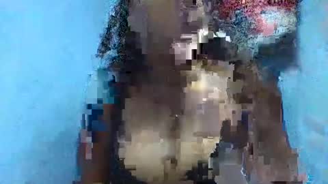 Snapshot of verolla31 chatting on 02.02.25 verolla31 online show from 02.02.25