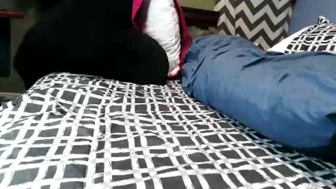 Vexnew online show from 02.21.26