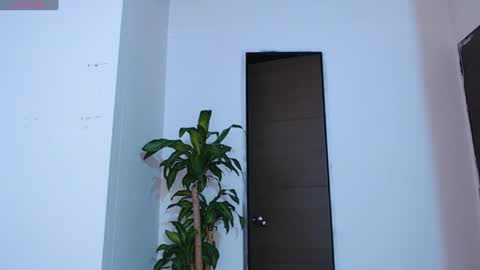 Vic online show from 12.20.24