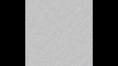 Victoria Collins online show from 10.17.25