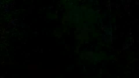 Snapshot of victoriavega307847 chatting on 08.10.26 victoriavega307847 online show from 08.10.26