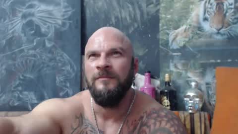 viking online show from 09.15.25