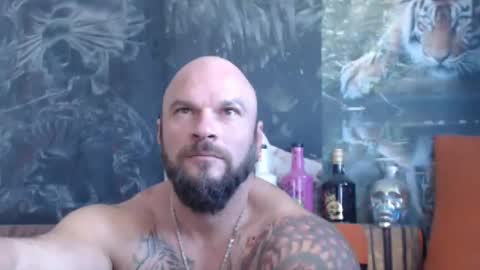 viking online show from 09.16.25