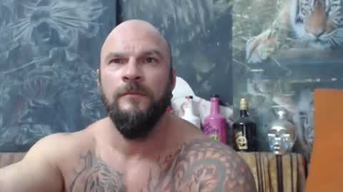 viking online show from 09.20.25