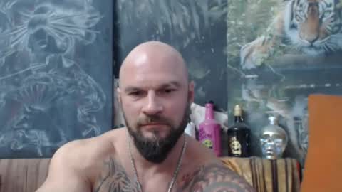 viking online show from 10.04.25