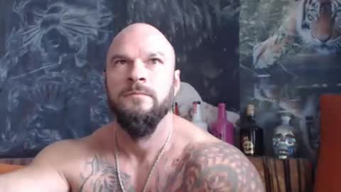 viking online show from 10.08.25