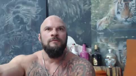 viking online show from 10.31.25