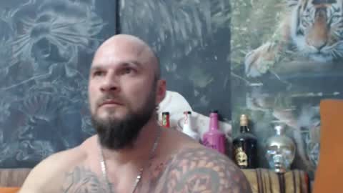 viking online show from 11.04.25