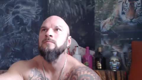 viking online show from 11.11.25