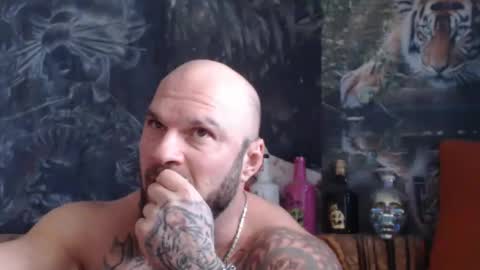 viking online show from 11.14.25