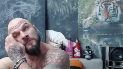 viking online show from 12.20.25