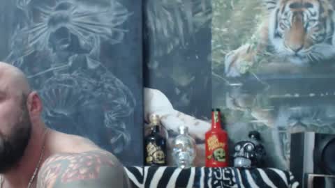 viking online show from 04.19.26