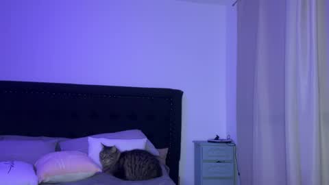 Snapshot of viktorialove23 chatting on 04.06.26 victoria online show from 04.06.26