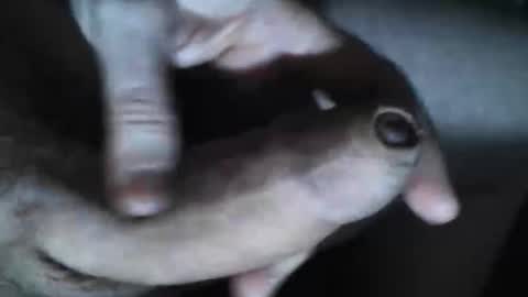   online show from 10.30.25