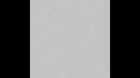 Vincent.  uncut 18cm online show from 12.17.24