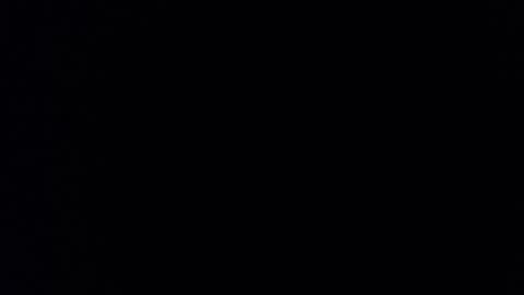 Daniela online show from 12.14.24