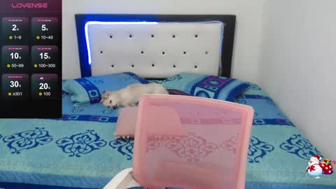 Violeta online show from 12.30.24