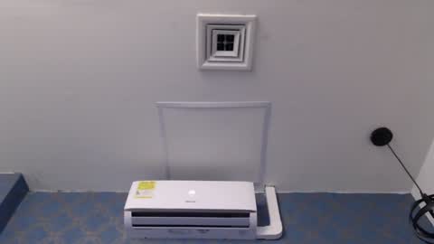 Violeta  online show from 12.08.24