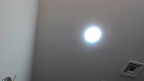 Violeta  online show from 02.21.25