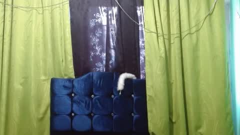 violetta_dreams online show from 07.01.26