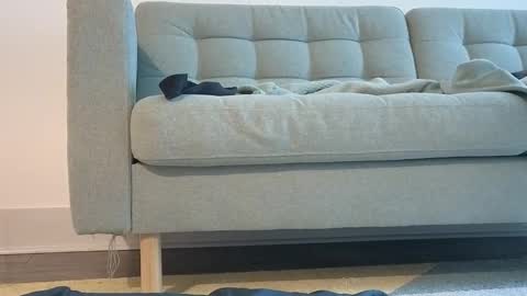 Pachinko De Gallo online show from 03.24.26