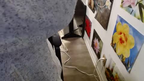 Snapshot of vixenfyre chatting on 12.12.24 Vixen Fyre online show from 12.12.24