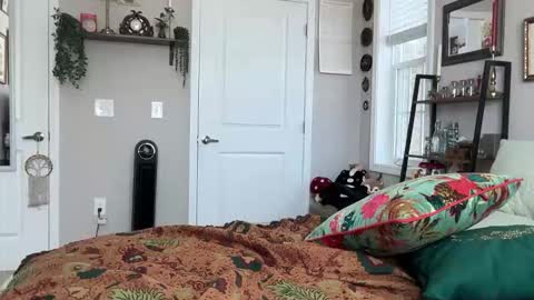 Liz online show from 03.12.26