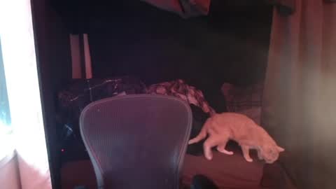 Snapshot of voidcatdaddy chatting on 04.27.26 Rev online show from 04.27.26