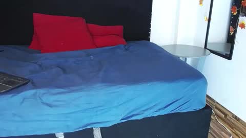 wild cat  online show from 10.28.25