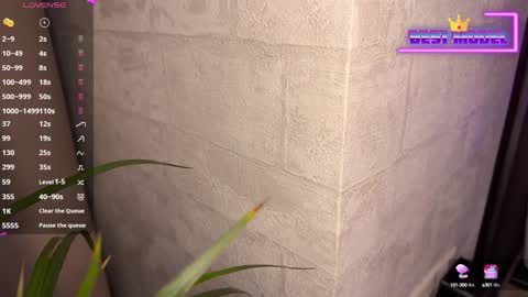 Walt Enjoy online show from 02.01.25