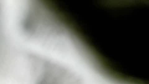 wangi_wangi online show from 02.18.26