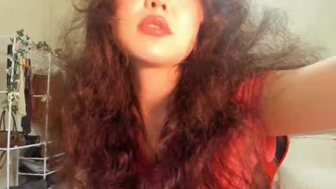 wastforu online show from 02.20.26