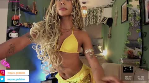 Wayuu Goddess  3 online show from 01.17.25