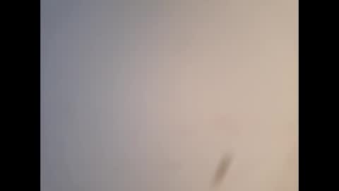 wcnmail24 online show from 09.25.25