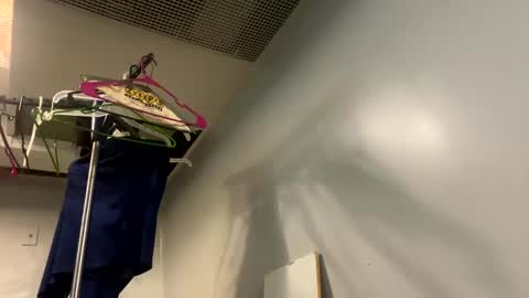 well_ndowed online show from 01.02.25